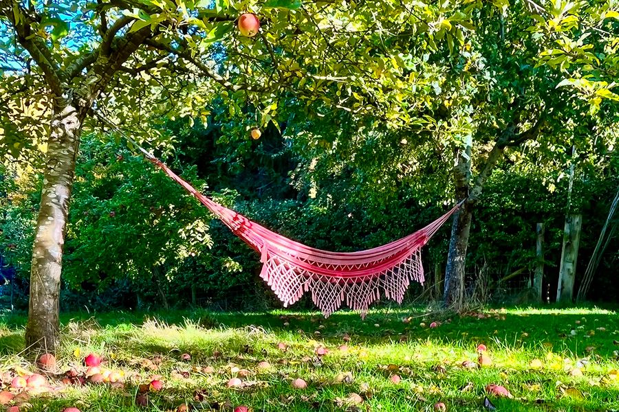 En hengekøye henger fra et epletre i en hage, som representerer fotoknudsen sine avslappende staycation-ideer.