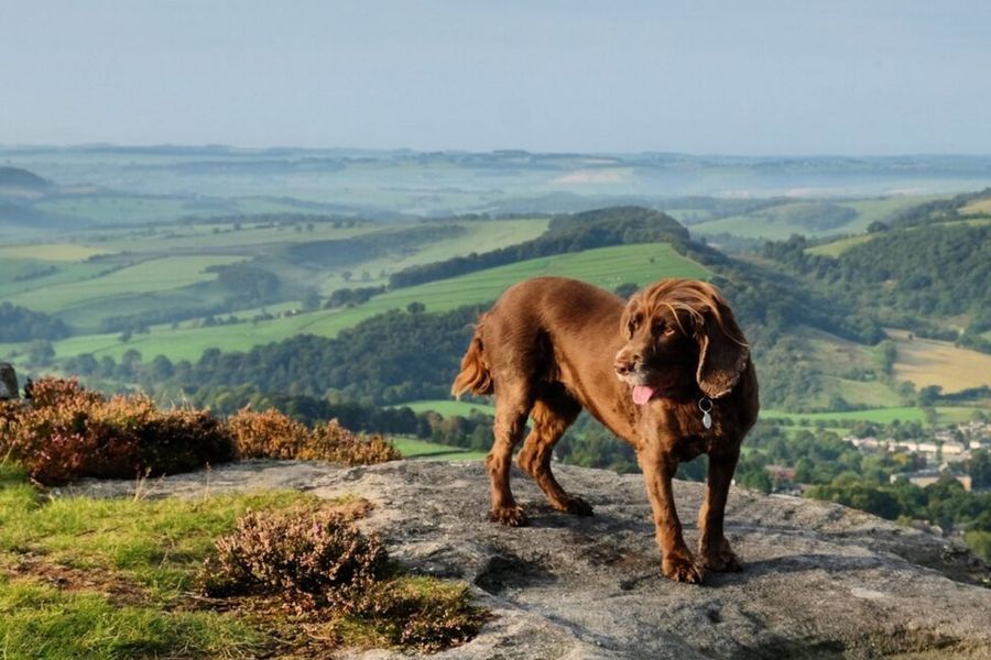 Vidstrakte heilandskap og sjarmerende steinlandsbyer i Peak District nasjonalpark i Storbritannia, et av Europas vakreste parker i fotoknudsen sin guide.
