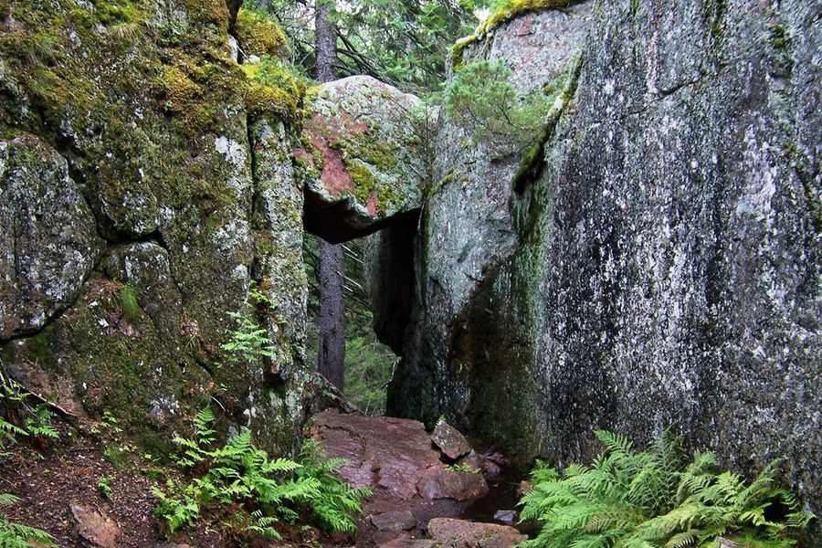 Tette granskoger møter de steinete kystlinjene ved Østersjøen i Skuleskogen nasjonalpark på Höga Kusten i Sverige, en av Europas beste nasjonalparker i fotoknudsen sin guide.