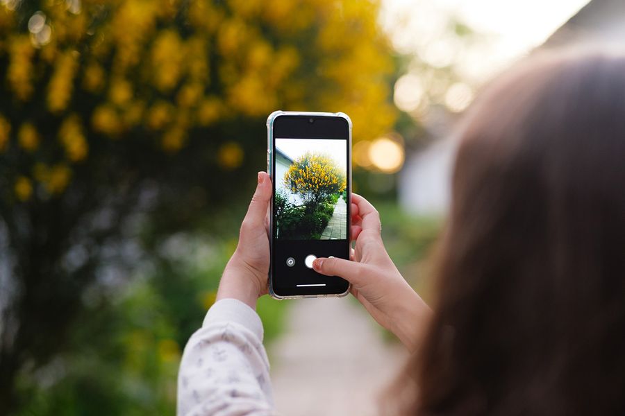 Noen tar bilde av en vakker busk med gule blomster, som illustrerer hvor raskt bildeoverbelastning oppstår i fotoknudsen sin guide til å rydde i bildene.