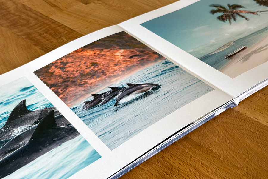 Et åpent oppslag fra Charl van Rooys fotobok viser tropiske bilder, blant annet svømmende delfiner og en tropisk strandscene, som illustrerer den visuelle fortellingen i fotografiporteføljen hans.