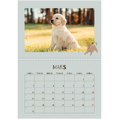 Fotokalender A4 dobbel (30 x 40 cm) — Leken valp [Mars]