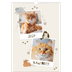 A3 Månedskalender — Leken kattunge [kalender-forside]