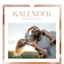 Månedskalender kvadratisk — Penseleffekt [kalender-forside]