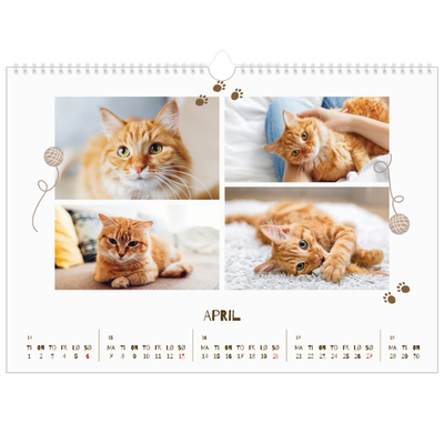 Fotokalender A3 — Leken kattunge [April]