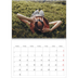 Fotokalender A4 dobbel (30 x 40 cm) — Endeløs flukt [Mai]