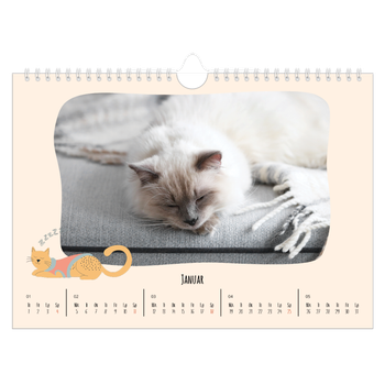 Fotokalender A4 — Kattepoter og kruseduller