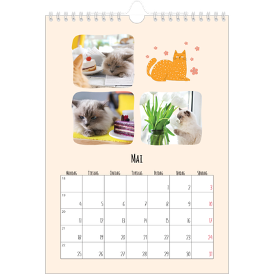 Fotokalender A4 (20 x 30 cm) — Kattepoter og kruseduller [kalender-forside]