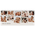 Bordkalendere — Bilder i bevegelse [kalender-forside]