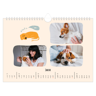 Fotokalender A4 — Hundepoter og kruseduller [Januar]