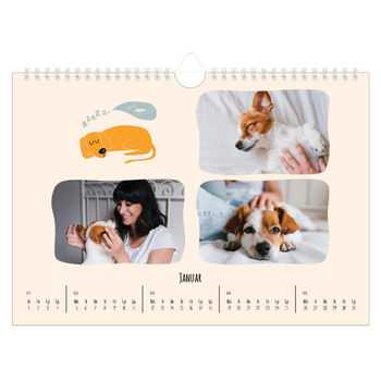 Fotokalender A4 — Hundepoter og kruseduller