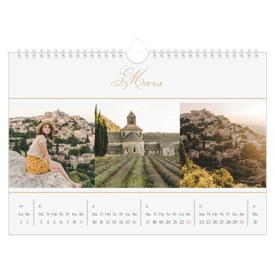 Fotokalender A4 — Elegant gull [Mars]