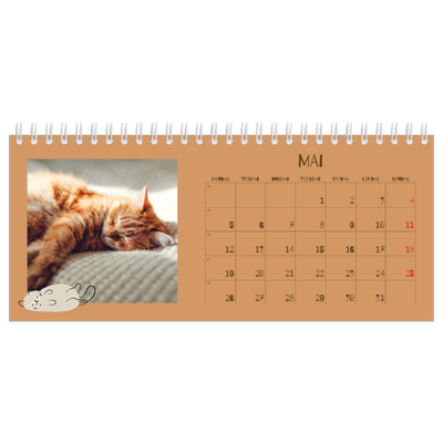 Bordkalendere — Leken kattunge [kalender-forside]