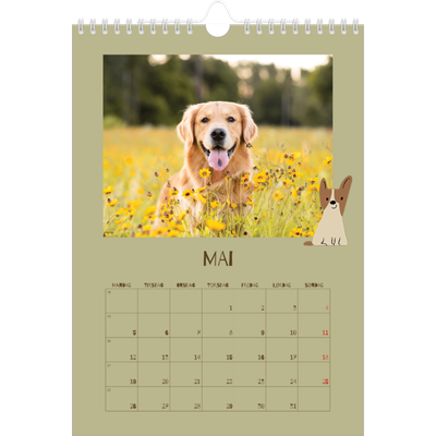 Fotokalender A4 (20 x 30 cm) — Leken valp [kalender-forside]