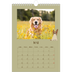 Fotokalender A4 (20 x 30 cm) — Leken valp [kalender-forside]