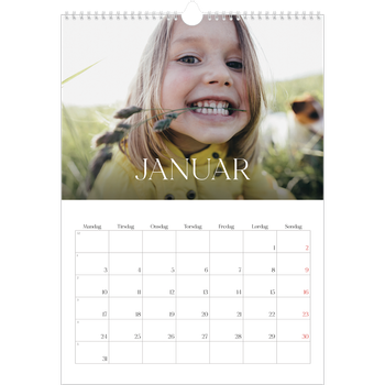 Fotokalender A3 — Tolv store måneder