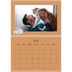 Fotokalender A4 dobbel (30 x 40 cm) — Leken kattunge [kalender-forside]