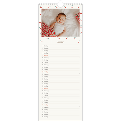 Fotokalender smal  — Kirsebærlykke [Januar]