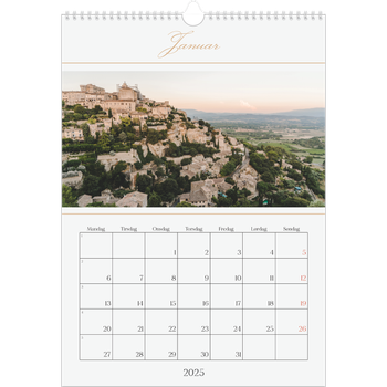 Fotokalender A3 — Elegant gull