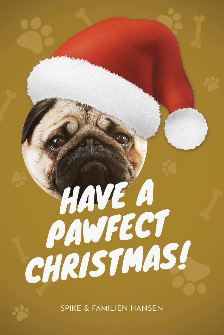 Fotokort — The pawfect Christmas
