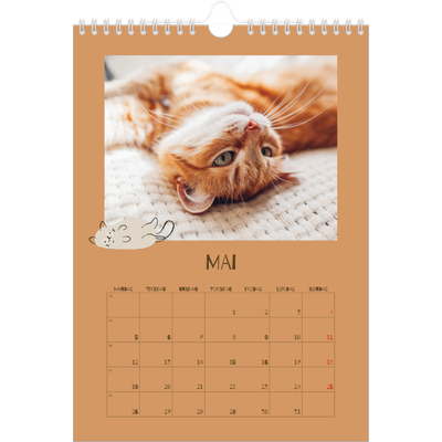 Fotokalender A4 (20 x 30 cm) — Leken kattunge [kalender-forside]