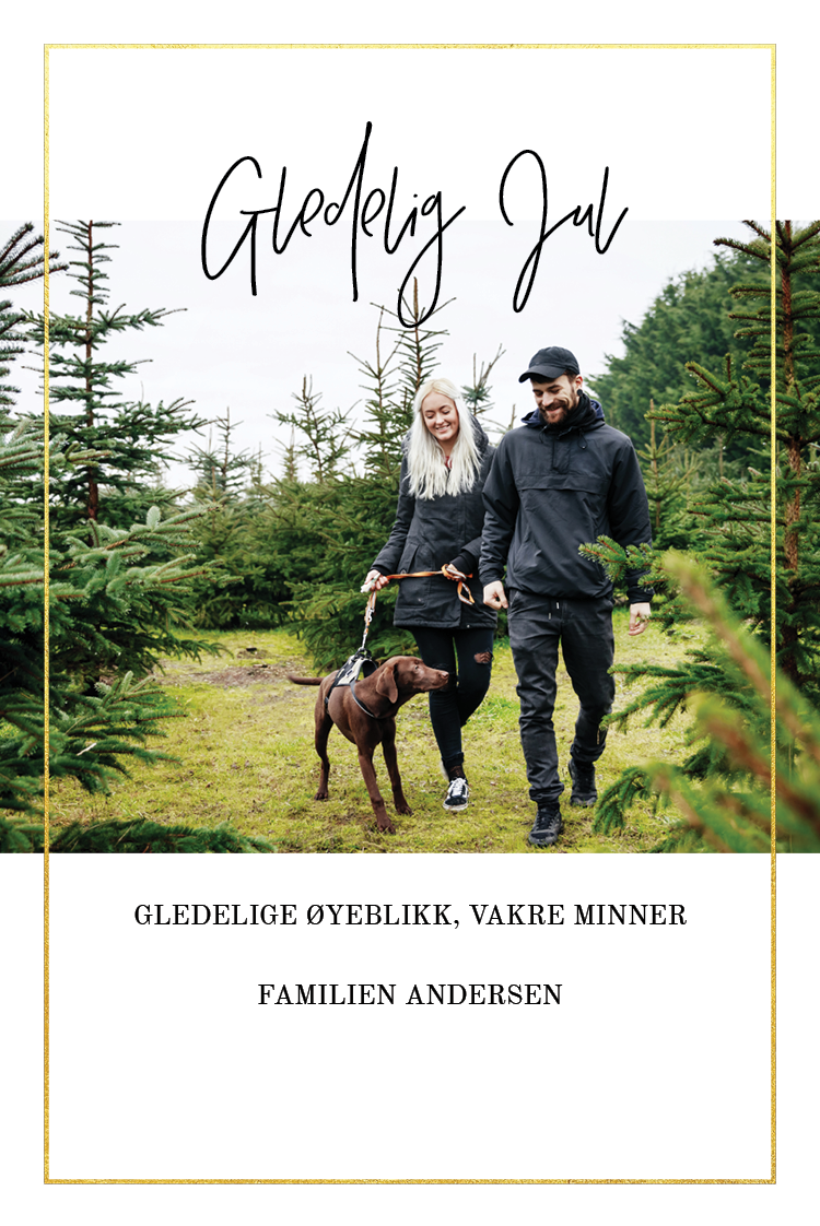 Fotokort — Tynn gullramme