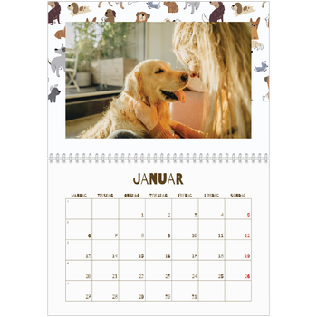 Fotokalender A4 dobbel — Leken valp