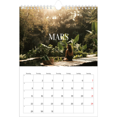 Fotokalender A4 (20 x 30 cm) — Endeløs flukt [Mars]