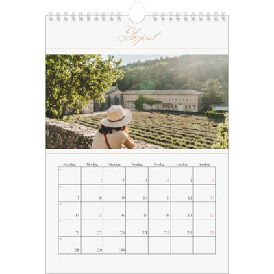 Fotokalender A4 (20 x 30 cm) — Elegant gull [April]