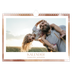 Fotokalender A4 — Penseleffekt [kalender-forside]