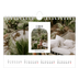 Fotokalender A5 — Den åpne buen [Februar]