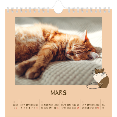Månedskalender kvadratisk — Leken kattunge [Mars]