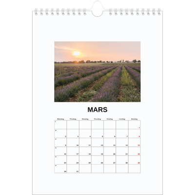 Fotokalender A4 (20 x 30 cm) — Enkelt bilde [Mars]