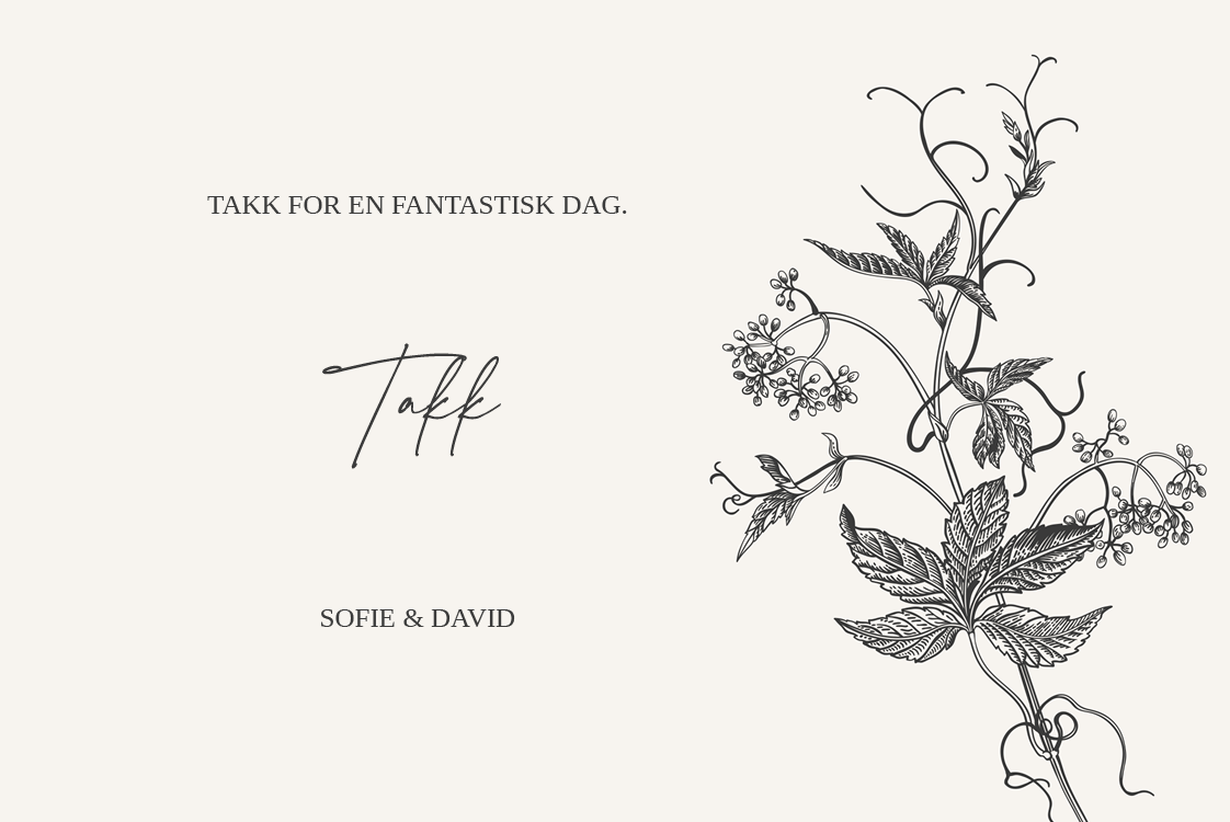 Takkekort — Blekk & blomst