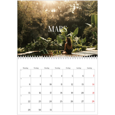 Fotokalender A4 dobbel (30 x 40 cm) — Endeløs flukt [Mars]
