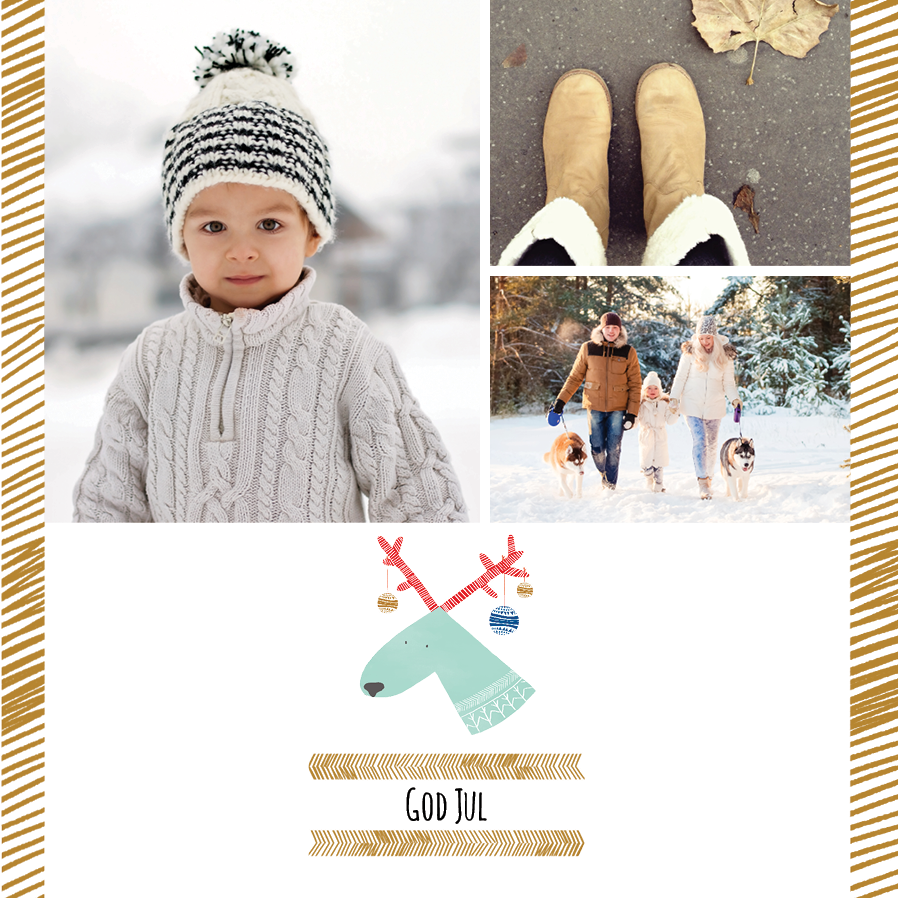 Fotokort — Morsomt reinsdyr