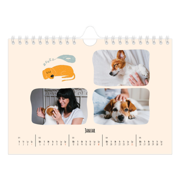 Fotokalender A5 — Hundepoter og kruseduller