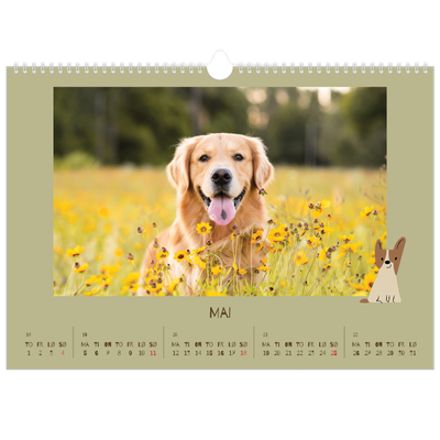 Fotokalender A3 — Leken valp [kalender-forside]
