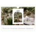 Fotokalender A4 — Den åpne buen [Februar]