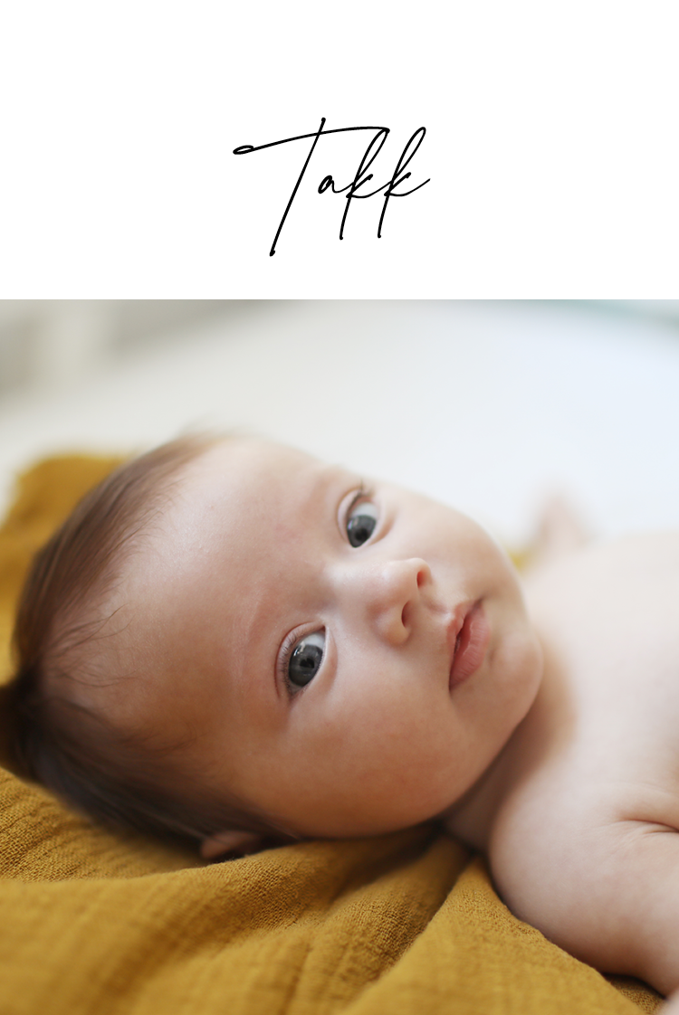 Takkekort — Liten hilsen