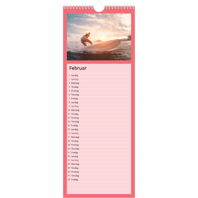 Fotokalender smal  — Stilrene farger [Februar]