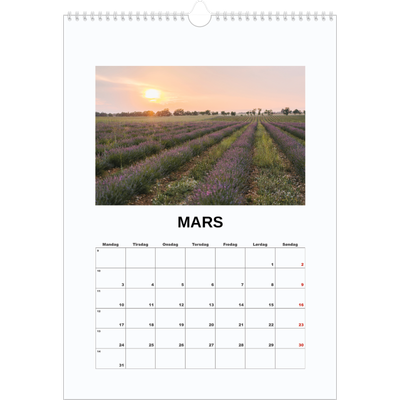 A3 Månedskalender — Enkelt bilde [Mars]
