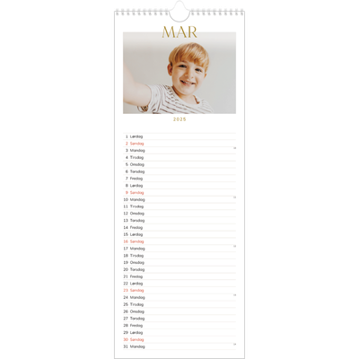 Fotokalender smal  — Gull stor skrift [Mars]