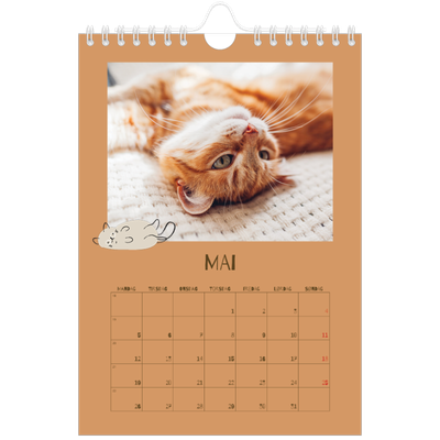 Fotokalender A5 — Leken kattunge [kalender-forside]