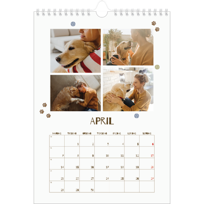 Fotokalender A4 (20 x 30 cm) — Leken valp [April]