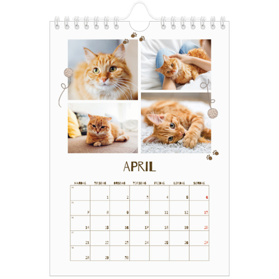 Fotokalender A5 — Leken kattunge [April]