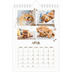Fotokalender A5 — Leken kattunge [April]