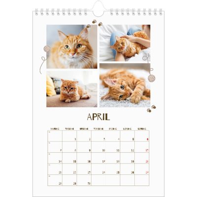 Fotokalender A4 (20 x 30 cm) — Leken kattunge [April]