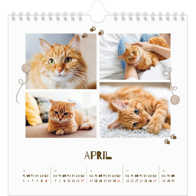 Månedskalender kvadratisk — Leken kattunge [April]