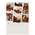 Fotokalender A5 — Bilder i bevegelse [kalender-forside]